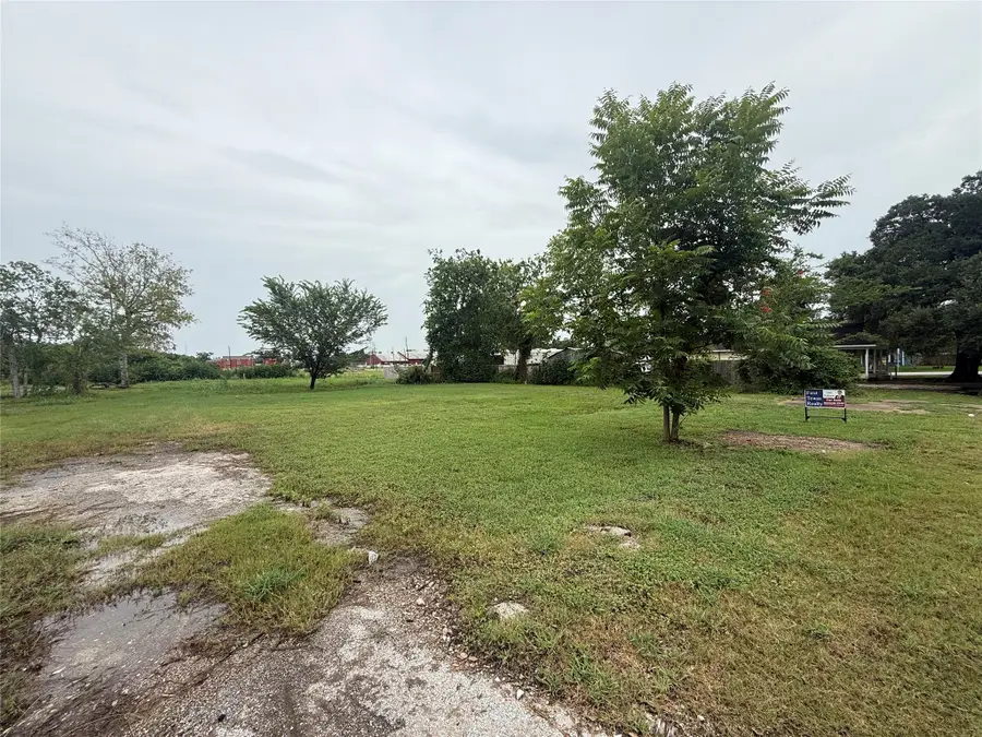 206 N 10th Street, Richmond, TX 77469 - #3
