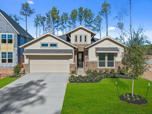 22519 Boyden Cavern Ct Court, Porter, TX 77365