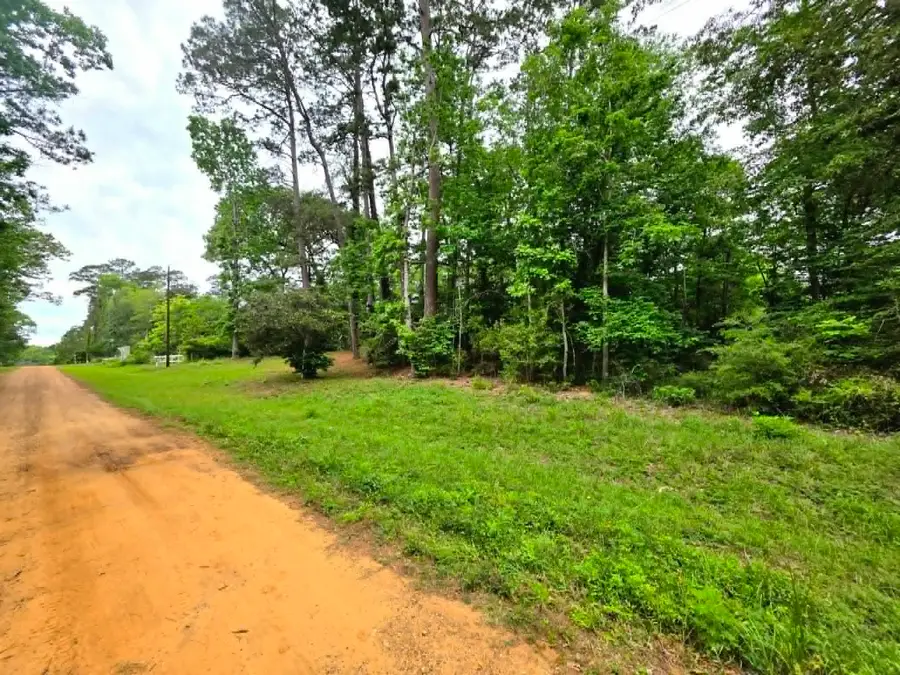 0 Dogwood Lake Drive, Livingston, TX 77351 - #3