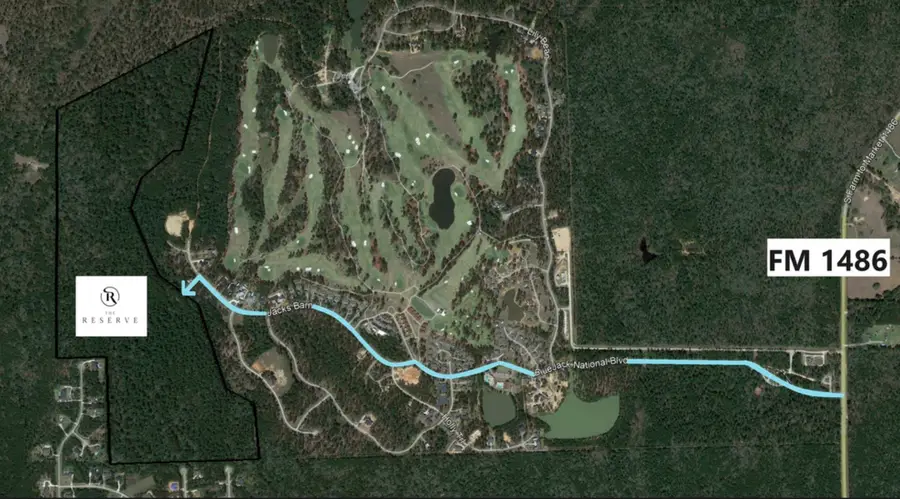 26335 Crooked Stick Court, Montgomery, TX 77316 - #2