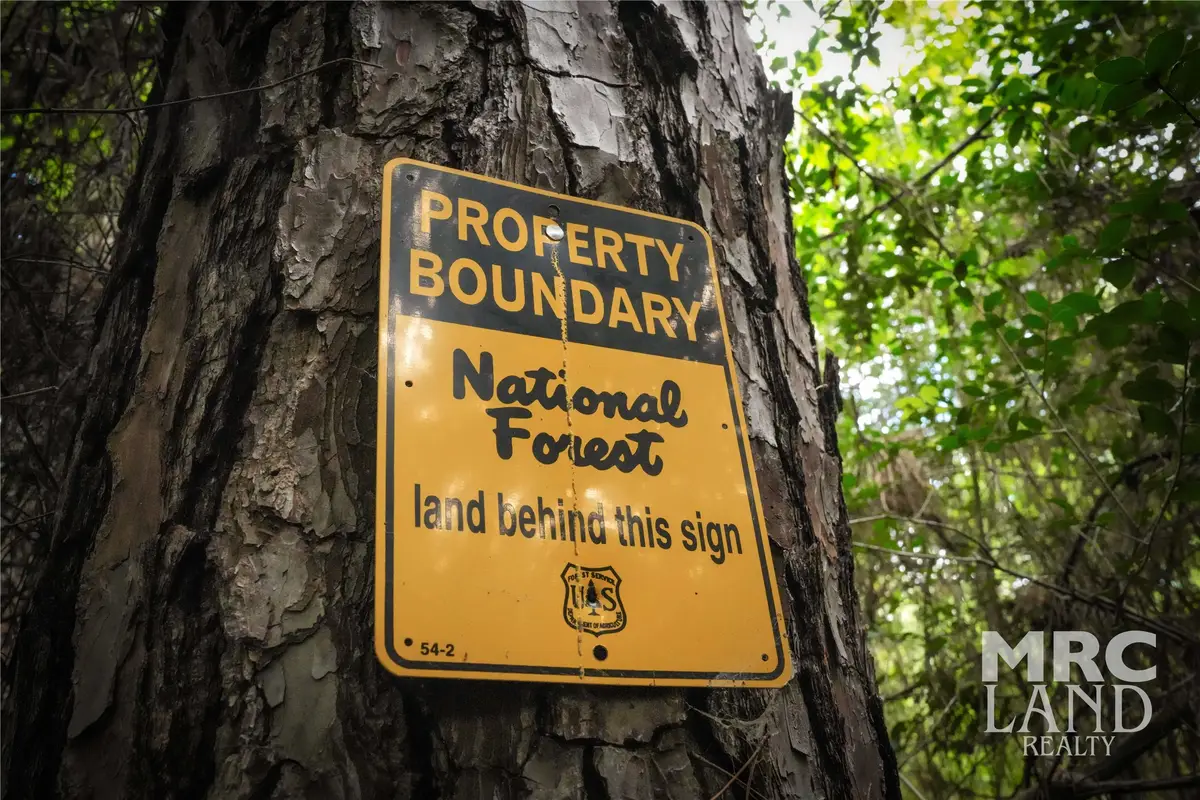 00 County Road 4690, Kennard, TX 75847 - #1