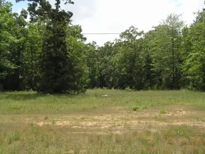 TBD Fm 3126 And Hwy 190 W, Livingston, TX 77351 - #3