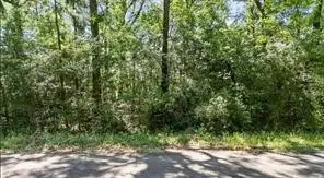 TBDD Sharon Lane, Livingston, TX 77351 - #1