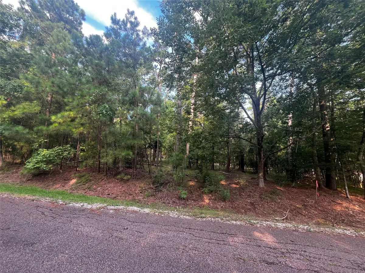 18 S Royale Greens Drive, Coldspring, TX 77331 - Image #1