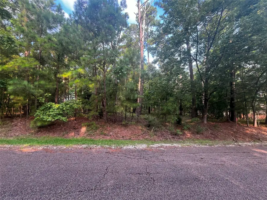 18 S Royale Greens Drive, Coldspring, TX 77331 - Image #3