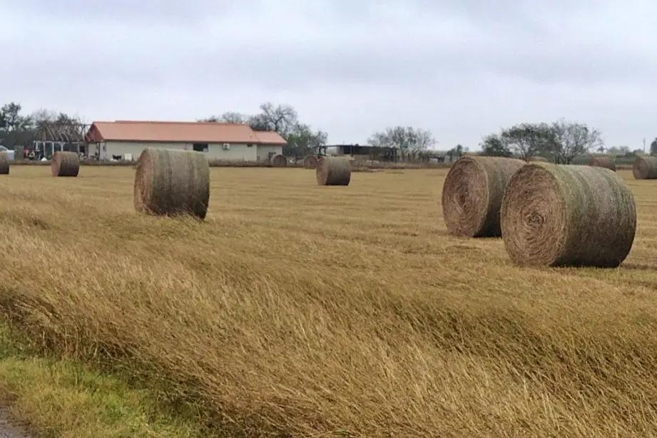 Lot 2 Fm 2925, Rio Hondo, TX 78583 - #1