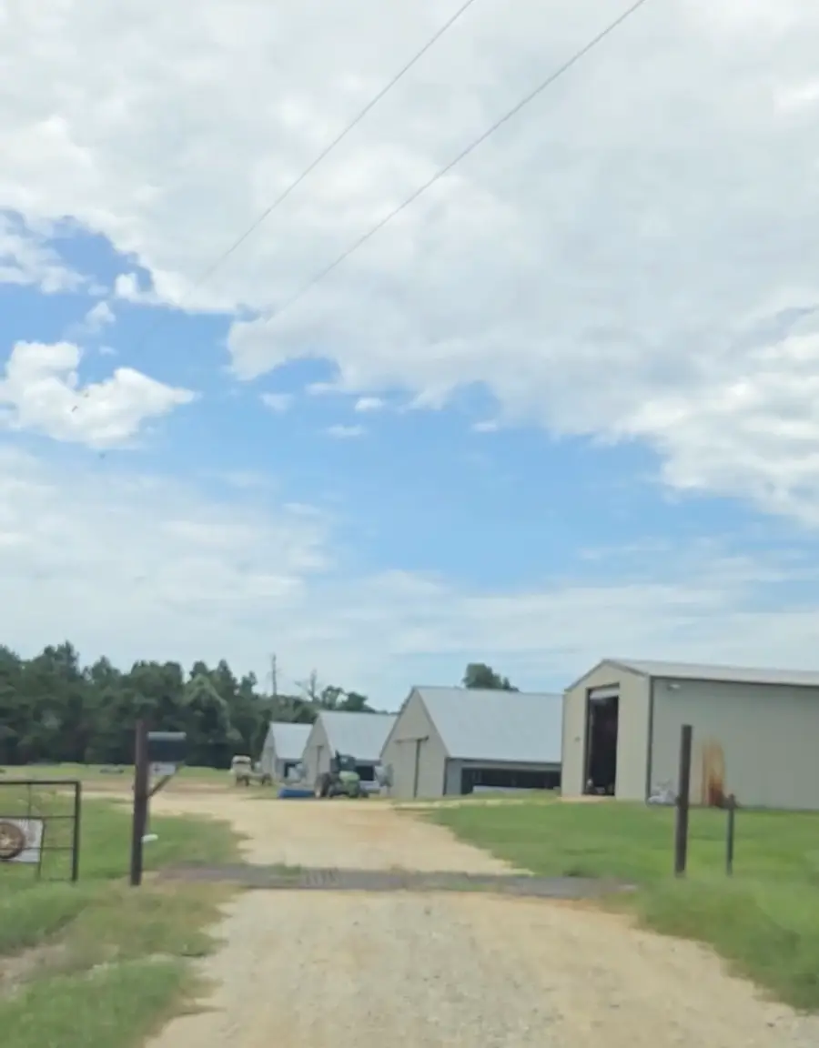 1029 County Road 441, Palestine, TX 75803 - #2