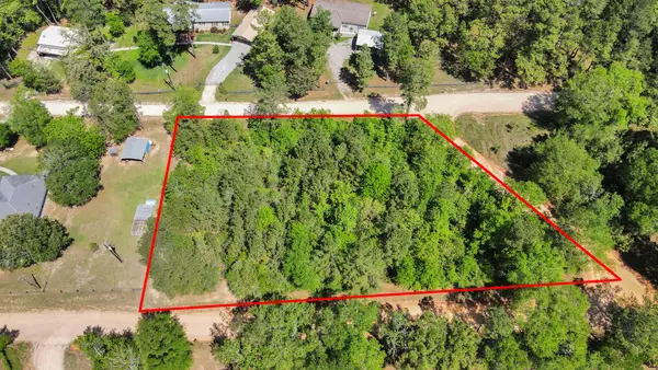 00 Raccoon Bend, New Waverly, TX 77358