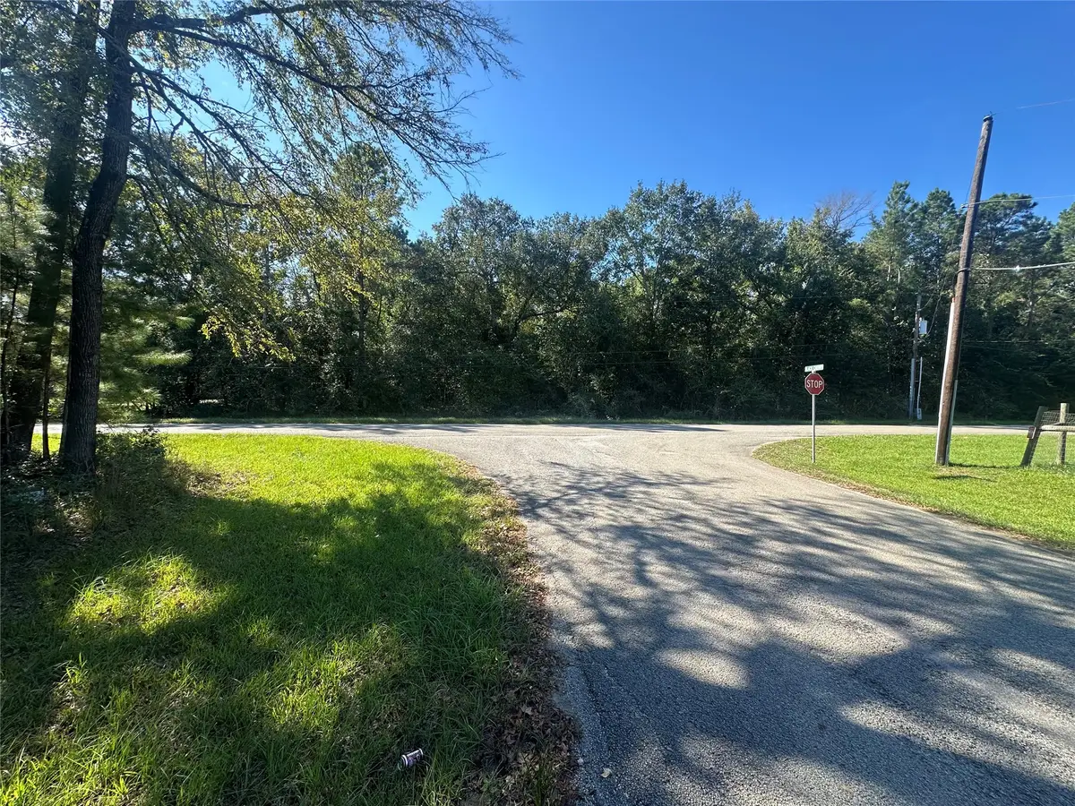 30003 Oakview, Magnolia, TX 77354 - #1