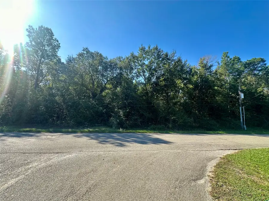 30003 Oakview, Magnolia, TX 77354 - #2