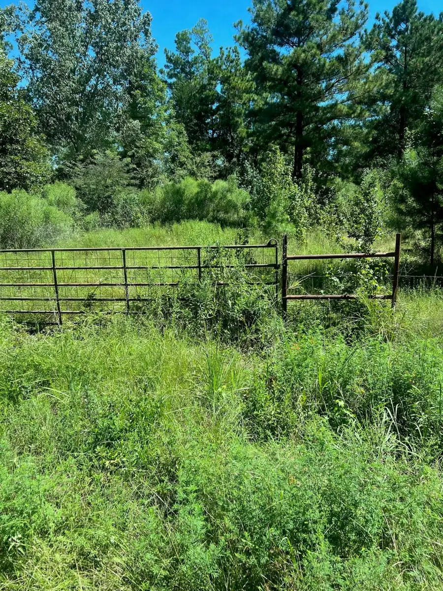 0000 Eddington Road, Marshall, TX 75642 - Image #2