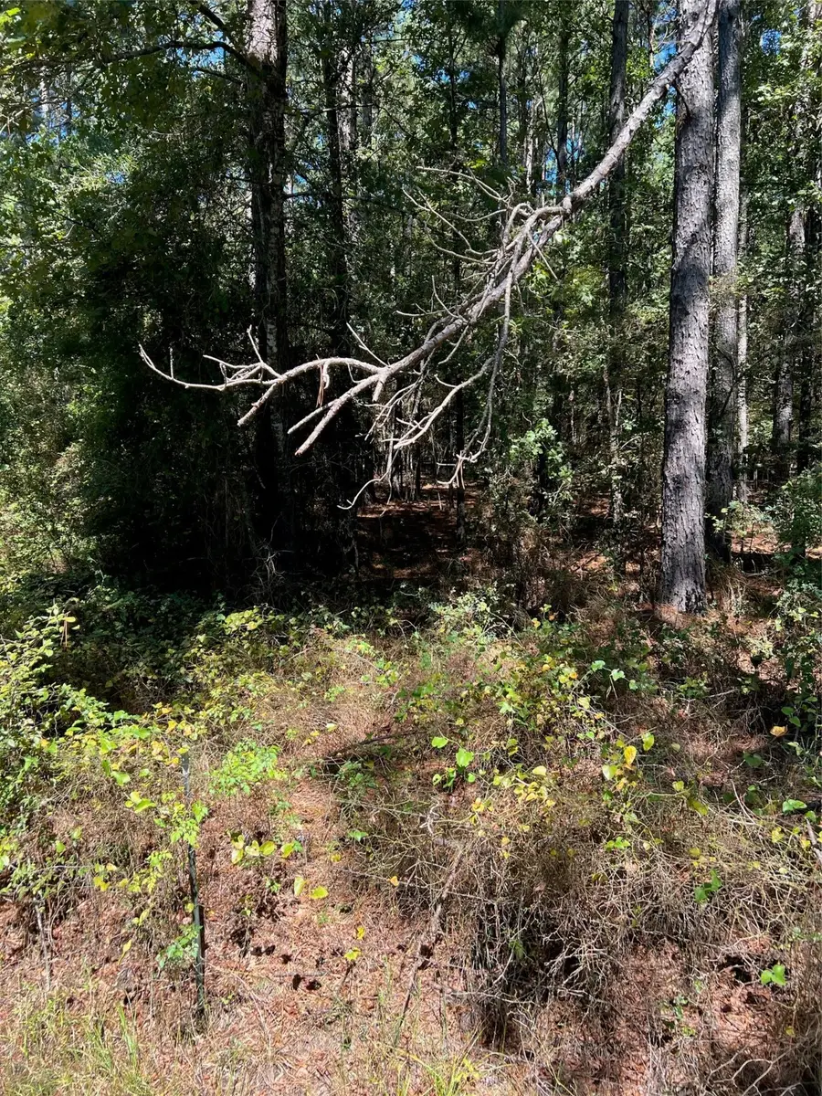 0000 Eddington Road, Marshall, TX 75642 - Image #3