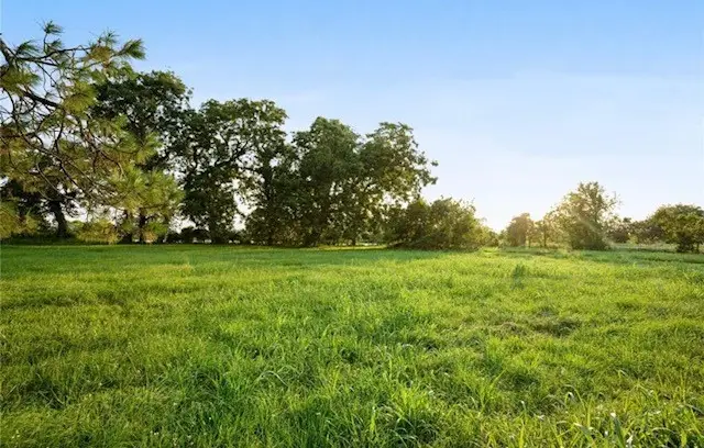 4443 Tankersley Circle, Rosharon, TX 77583 - #3