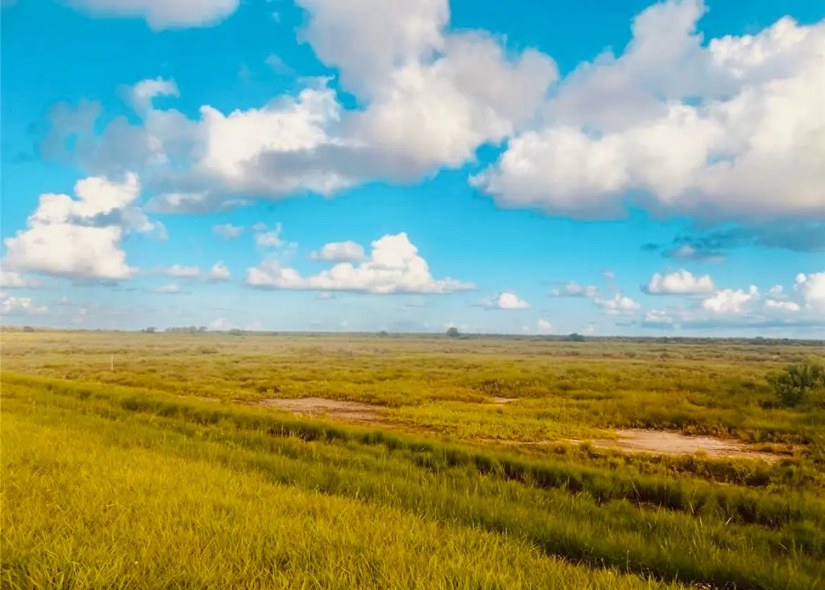 0-4.988 acres Fm 2918 Rd, Brazoria, TX 77422 - Image #1