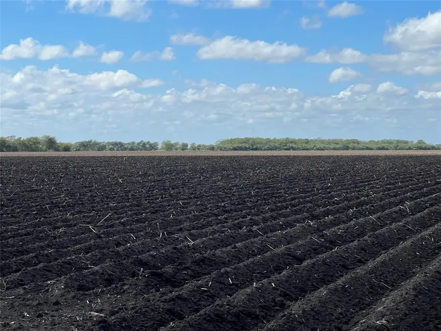 00 County Rd 459, El Campo, TX 77437 - Image #3