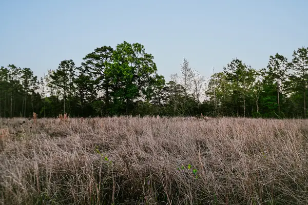 4007 Fm 834 W, Liberty, TX 77575