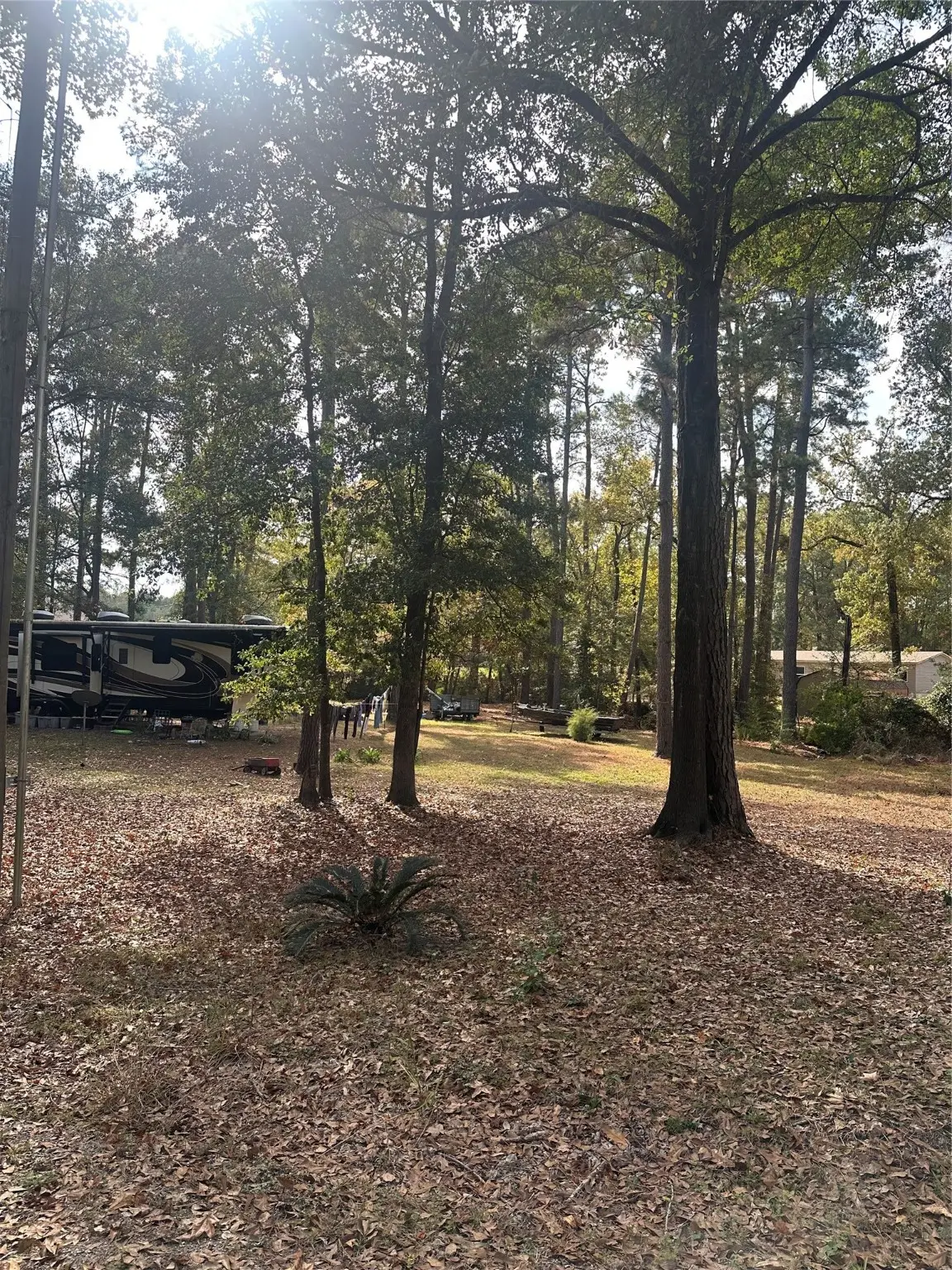 376 Nueces Drive, Trinity, TX 75862 - Image #1