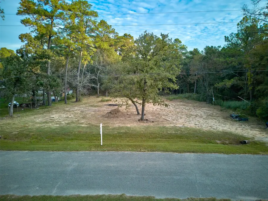 17910 Sea Turtle Court, Magnolia, TX 77355 - #2