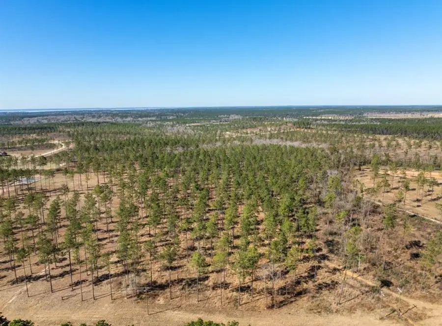 TBD Red Lowe Road, Livingston, TX 77351 - #2