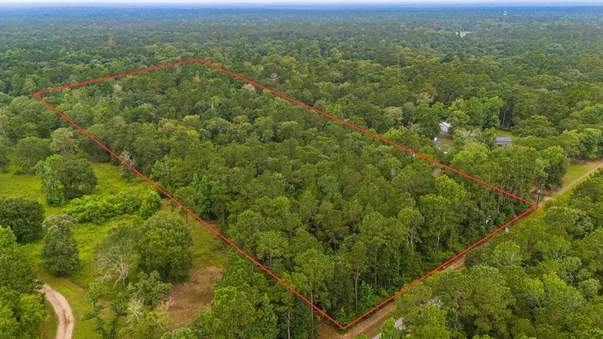 19410 Veterans Road, Magnolia, TX 77355 - #1