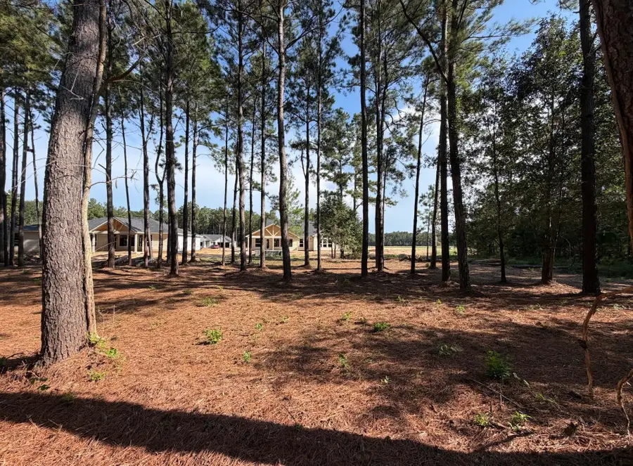 17717 Flagstone Way, Conroe, TX 77306 - #3