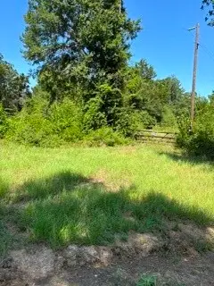 TBD County Road 488, Normangee, TX 77871 - #1