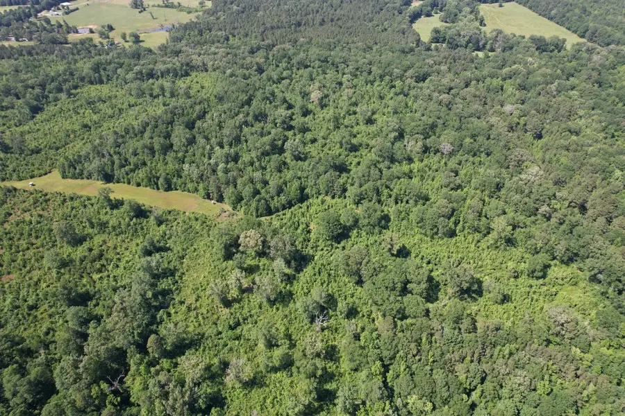 TBD-F County Road 4021, Timpson, TX 75975 - Image #3