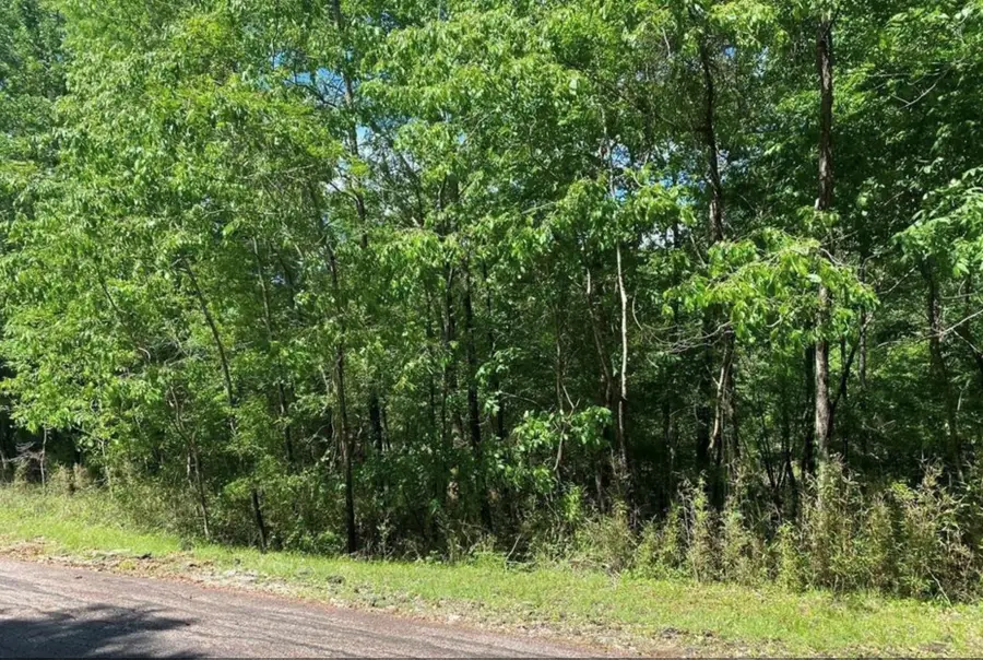 43 Shetland Lane, Coldspring, TX 77331 - #3