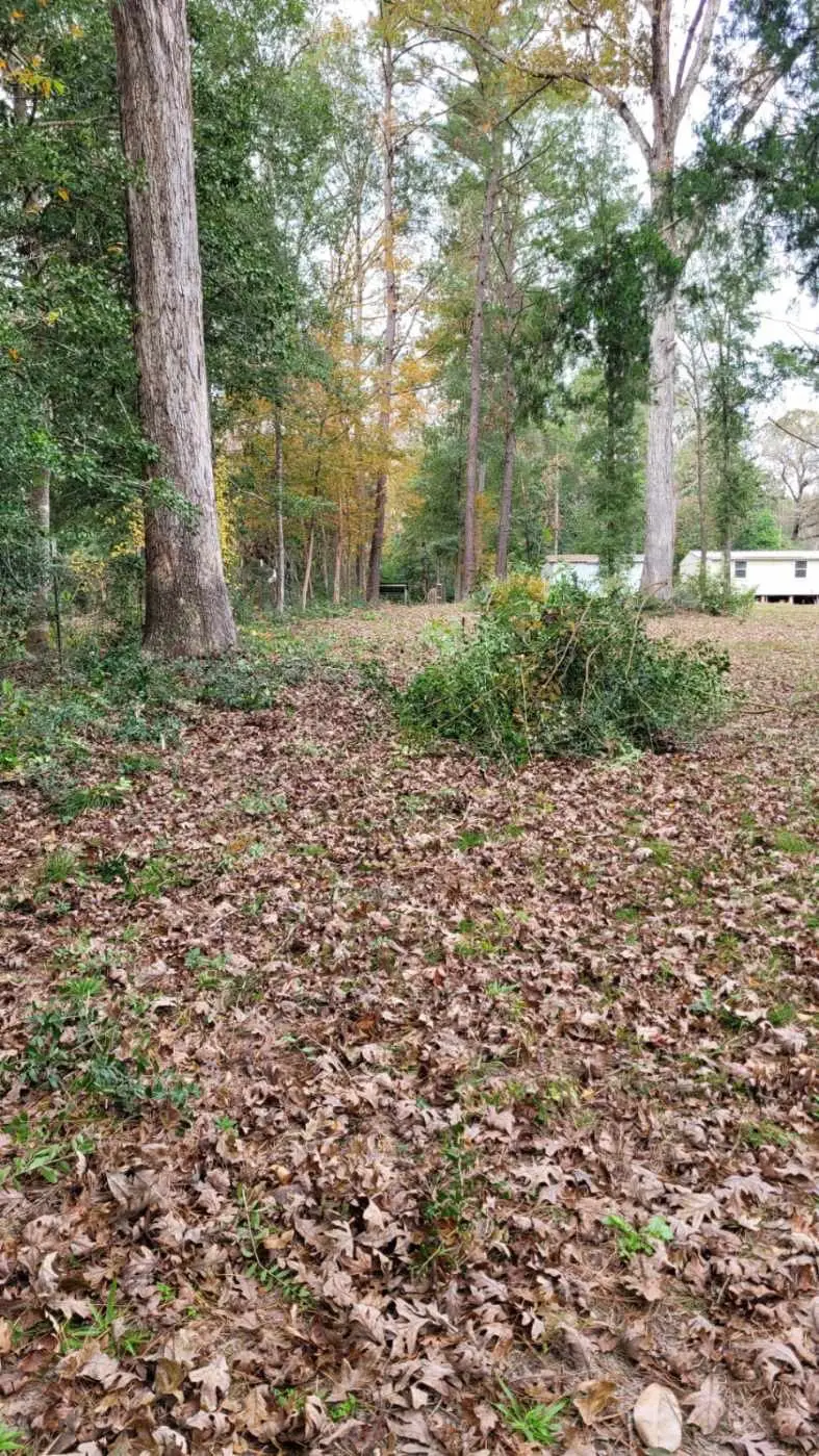 0 Beverly Dr Shepherd, Tx 77371, Shepherd, TX 77371 - Image #1