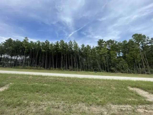 15963 Forest Grove Drive, Willis, TX 77378 - #3