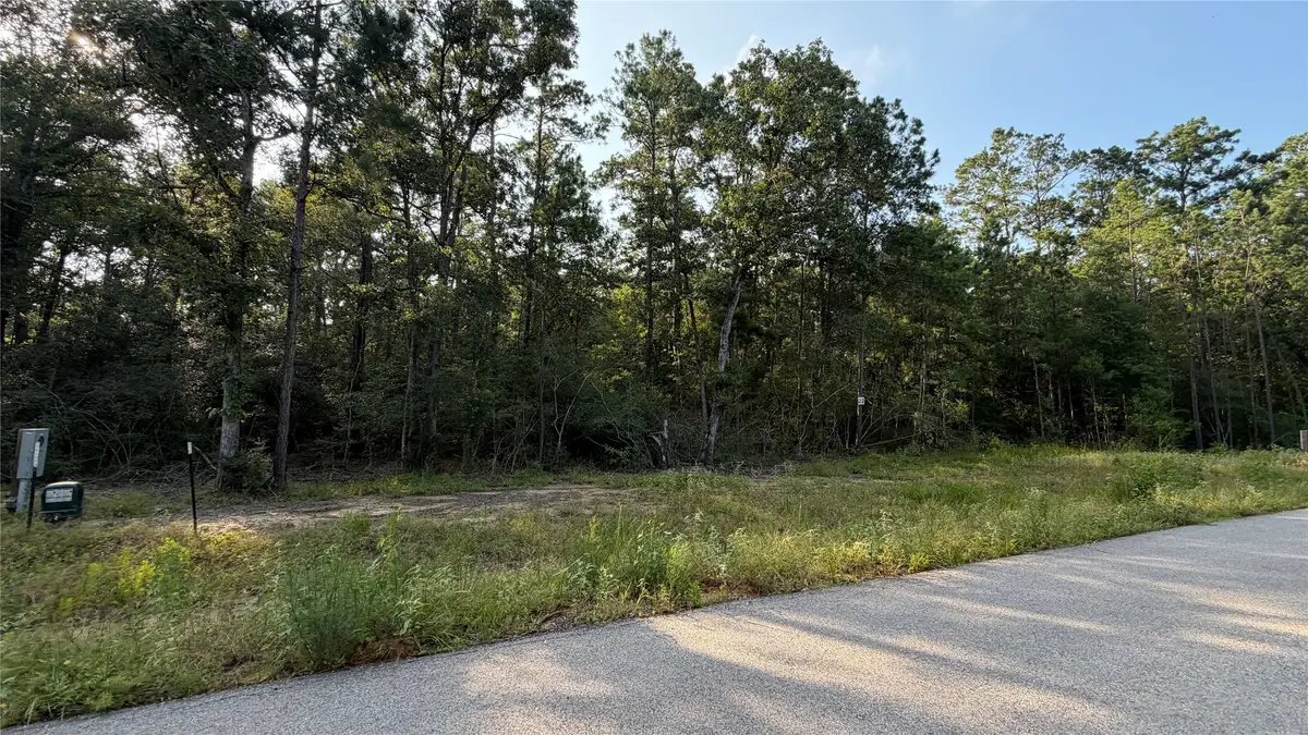 202 Kings Court, Dayton, TX 77535 - #1