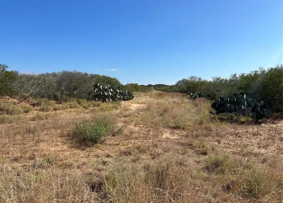 TBD 5150 Fm 2779 Street, Pearsall, TX 78061 - #2