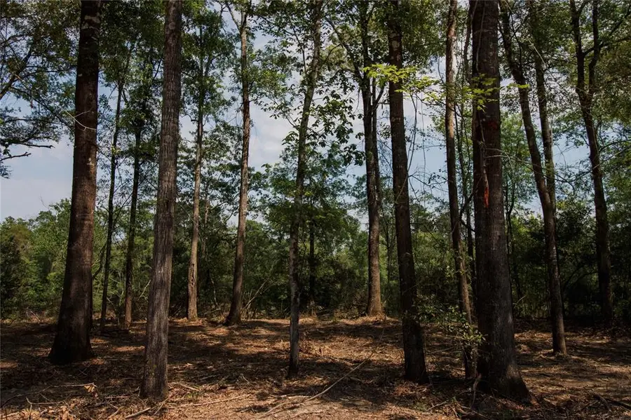 000 County Rd 2082, Burkeville, TX 75932 - Image #2