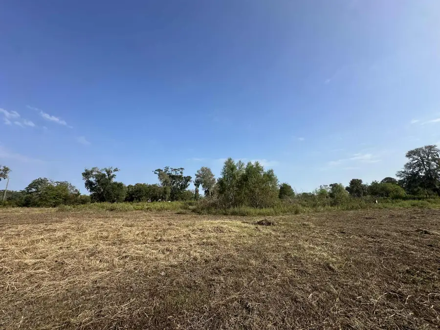 00 Cr-244, Brazoria, TX 77422 - Image #3