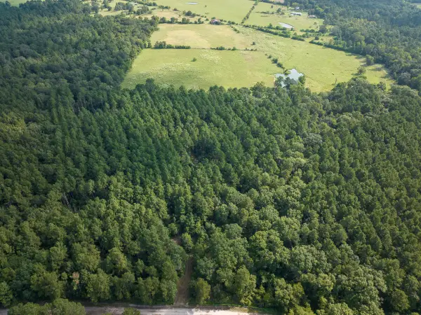 TBD Joe Hudson Road, Groveton, TX 75845