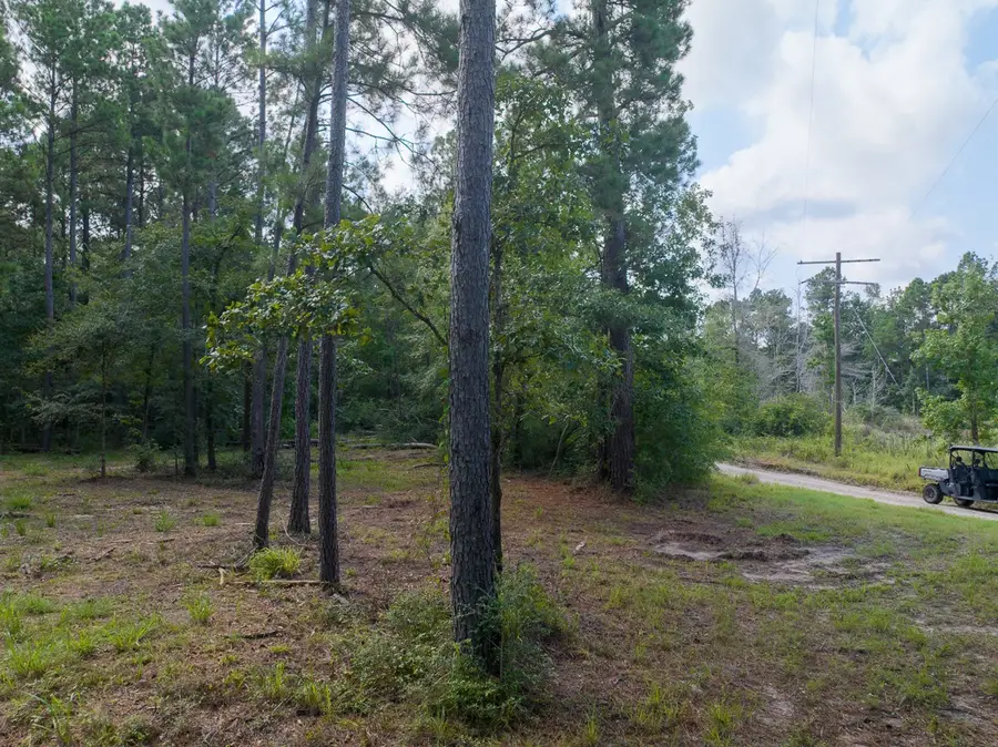 TBD Joe Hudson Road, Groveton, TX 75845 - Image #2