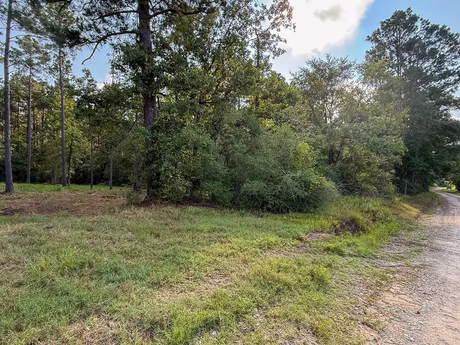 TBD Joe Hudson Road, Groveton, TX 75845 - Image #3