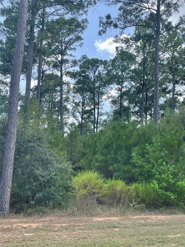 9424 Old Cedars Drive, Plantersville, TX 77363