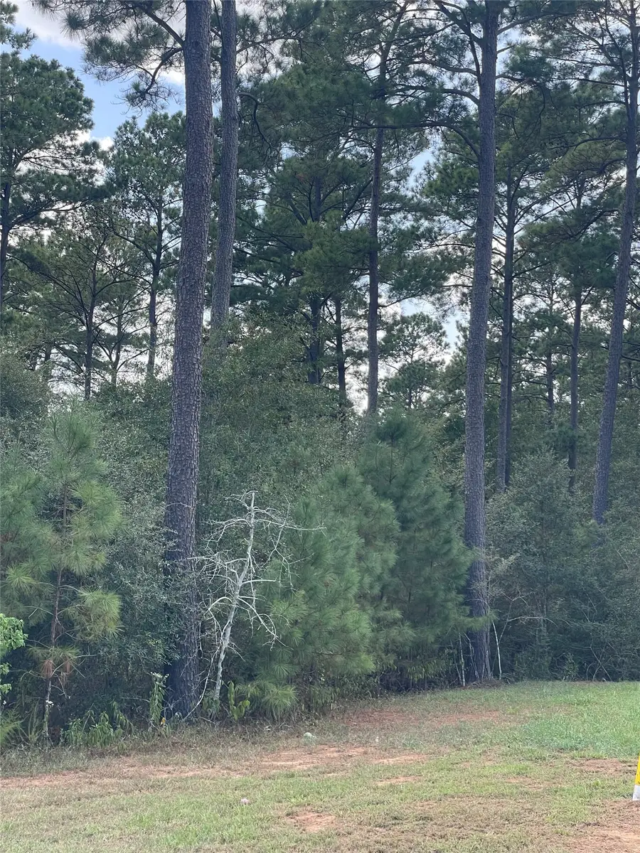 9424 Old Cedars Drive, Plantersville, TX 77363 - #2