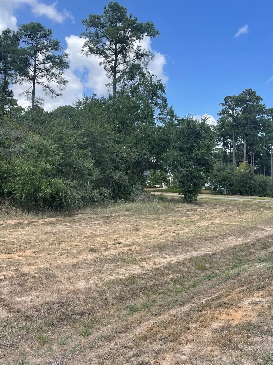 9424 Old Cedars Drive, Plantersville, TX 77363 - #3