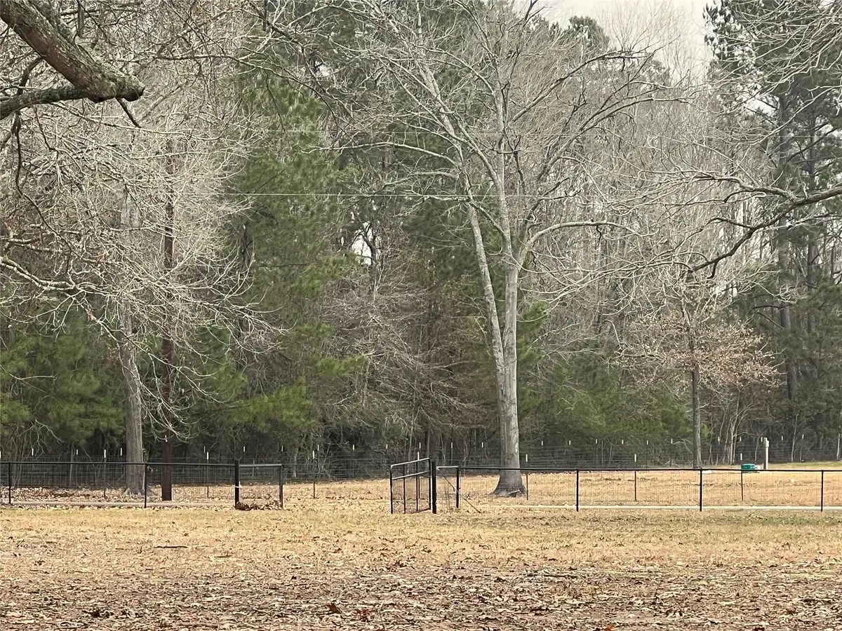 545 County Road 3017, Dayton, TX 77535 - #1