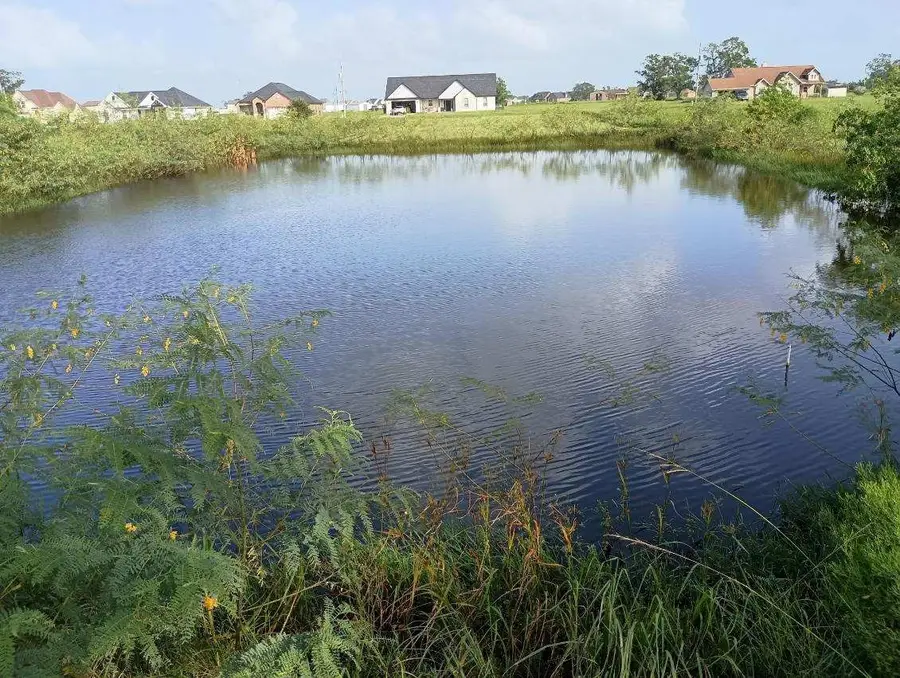 0 Palomino Trail, Angleton, TX 77515 - Image #2