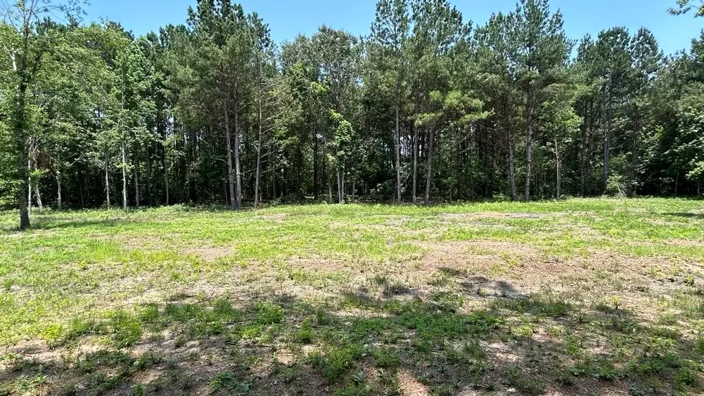 0 Pleasant Drive, Coldspring, TX 77331 - Image #1