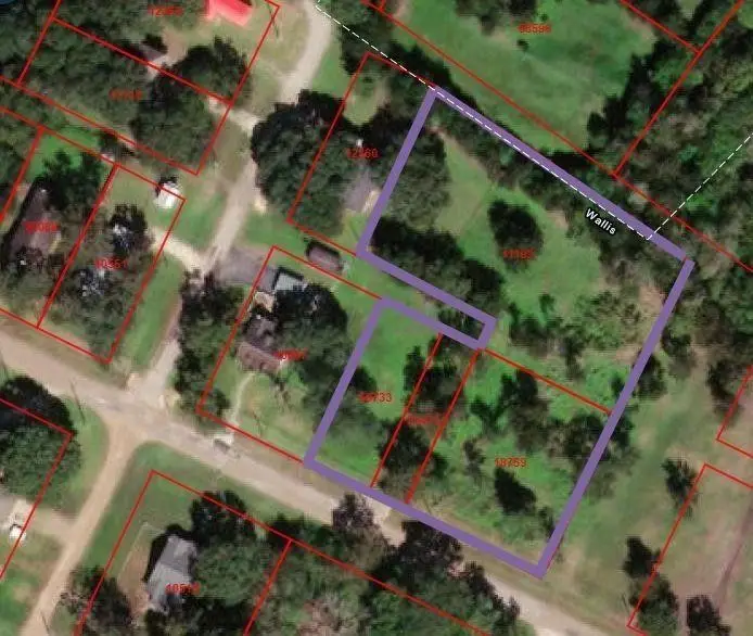 0 Guyler Street, Wallis, TX 77485 - Image #1