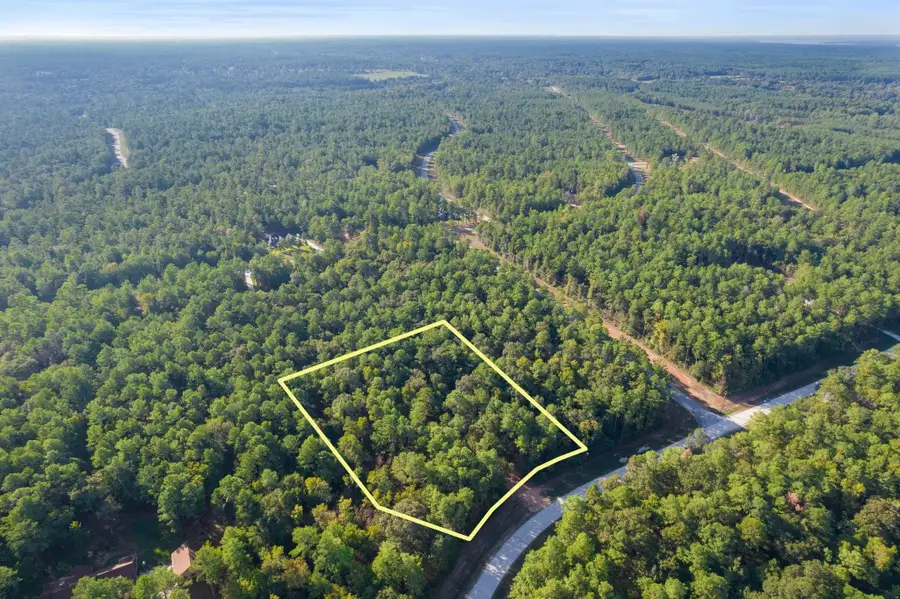 244 Remington Road, Huntsville, TX 77340 - #2