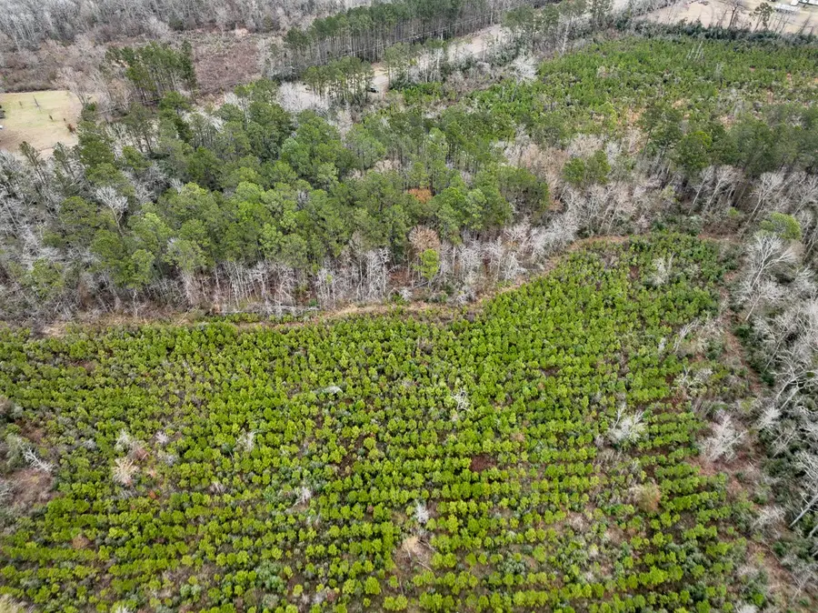 4 Fm 2626, Newton, TX 75966 - Image #2