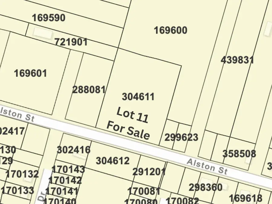 TBD Alston, Hitchcock, TX 77563 - Image #3