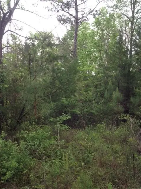 1800 County Road, Goodrich, TX 77335 - Image #2