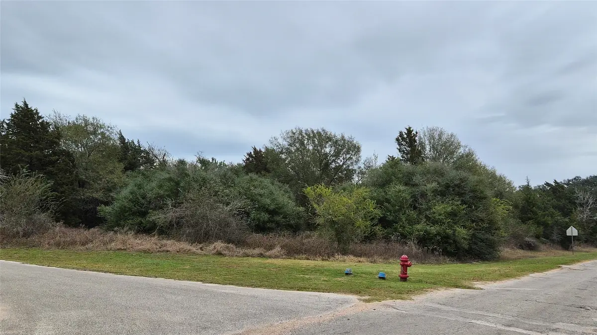 Lots 1-10 Shepard, Hempstead, TX 77445 - #1