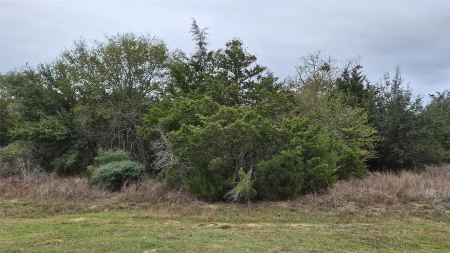 Lots 1-10 Shepard, Hempstead, TX 77445 - #2